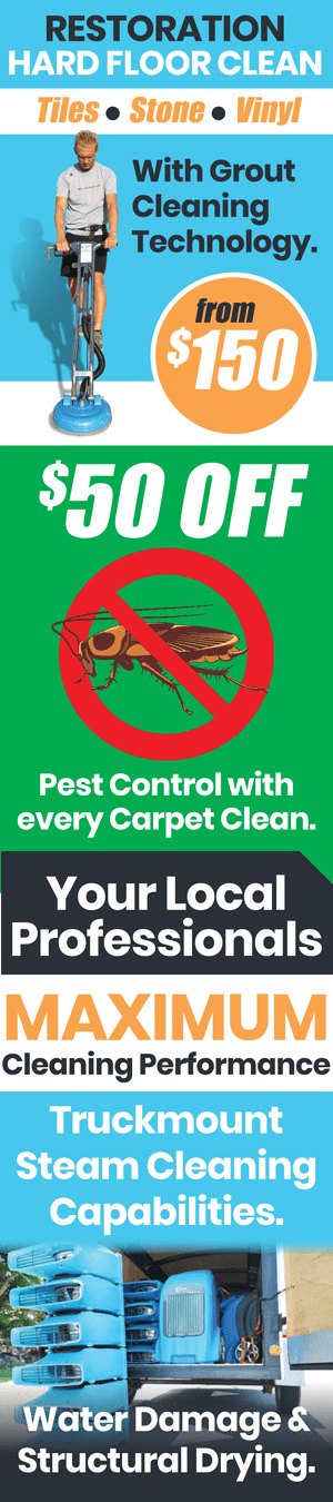 50% Off Pest Control with Every Carpet Clean Gold Coast Tweed Tweed Coast