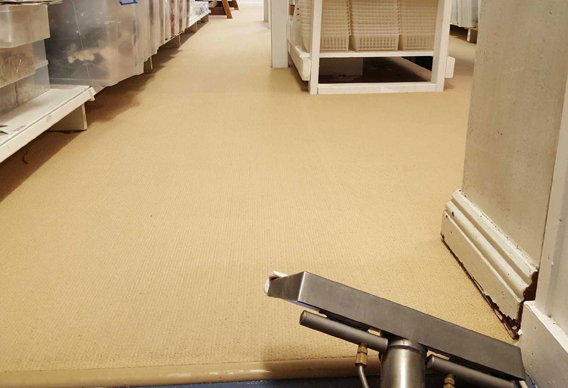 Byron Bay Carpet Cleaning